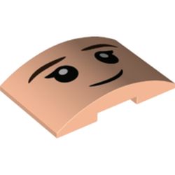 Élément LEGO 6360707 : Un second visage distinct