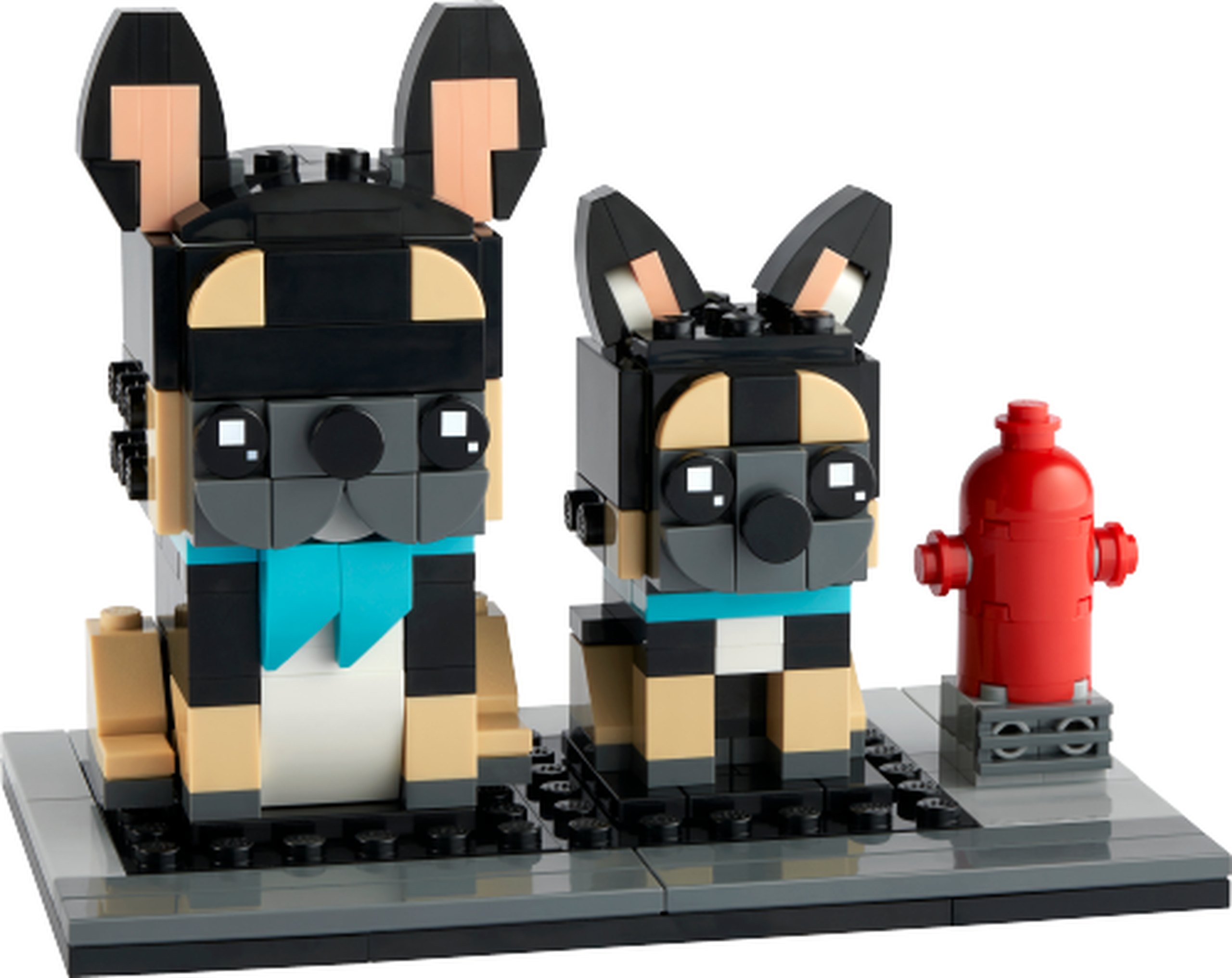 Modèle officiel LEGO 40544 : Les bouledogues français. Un bouledogue français adulte et son chiot présentent pelage noir et beige, grandes oreilles dressées et foulards azur moyen. Une borne à incendie rouge complète leur socle gris.